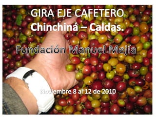 Noviembre 8 al 12 de 2010 GIRA EJE CAFETERO Chinchiná – Caldas. Fundación Manuel Mejía 