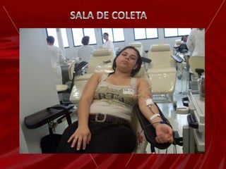 Atende  em média 7.900 doadores    aptos por mês na Região Metropolitana de BHMédia de doadores de sangue/dia Hemocentro = 350