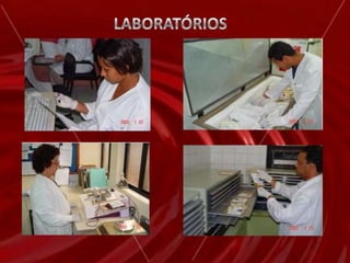 Cadastramento de candidatos a doação de Medula Óssea. QUANTIDADE DE PESSOAS ATENDIDAS