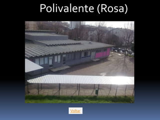 Polivalente (Rosa)




      Voltar
 
