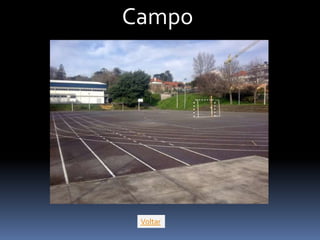 Campo




 Voltar
 