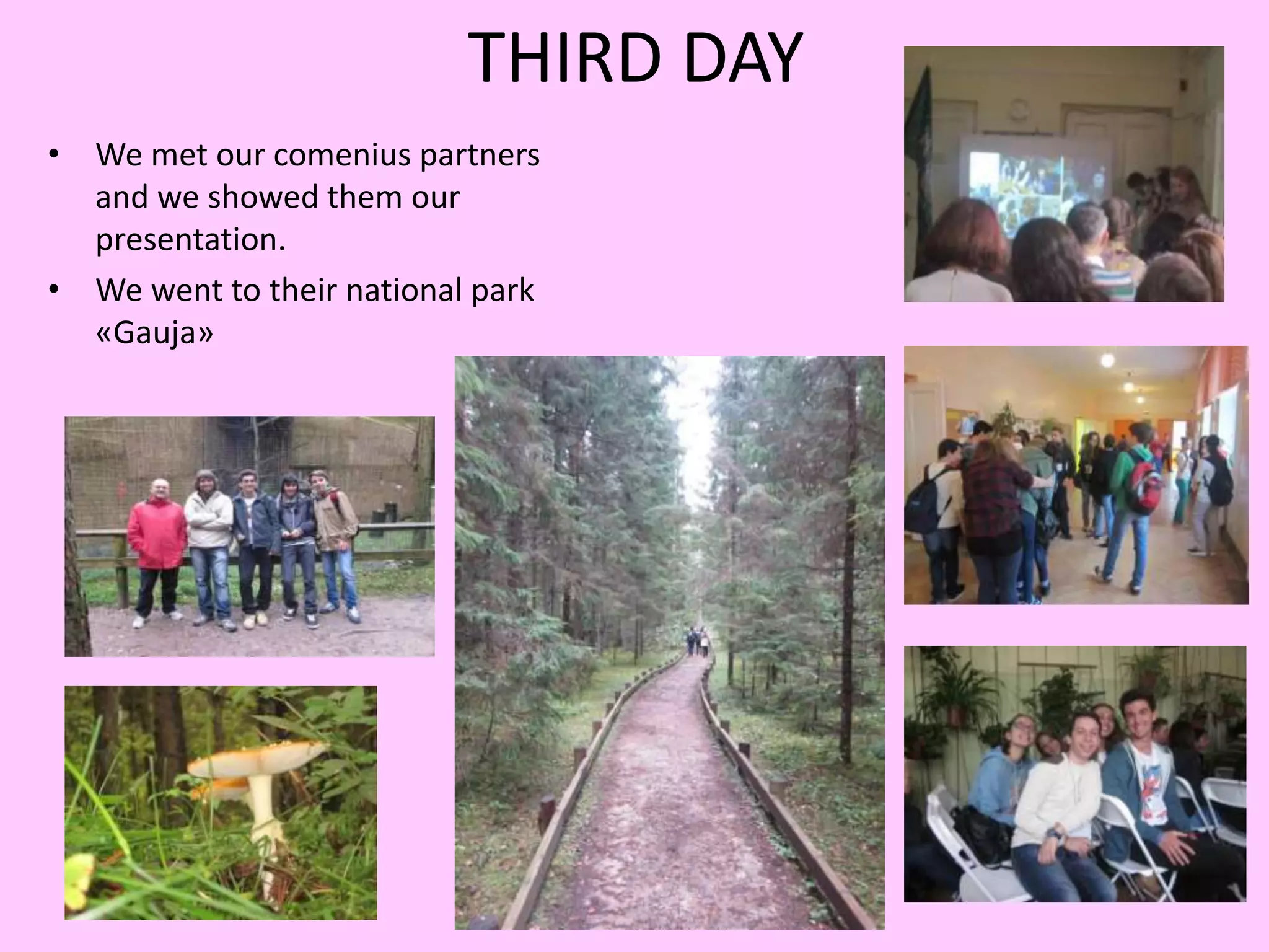 THIRD DAY 
• We met our comenius partners 
and we showed them our 
presentation. 
• We went to their national park 
«Gauja» 
 