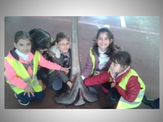 Visita mercacórdoba 2017