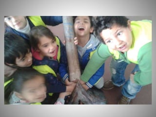 Visita mercacórdoba 2017