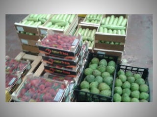 Visita mercacórdoba 2017