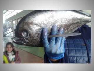 Visita mercacórdoba 2017