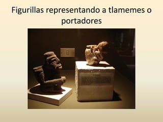 Mayan behavior, Anthropology