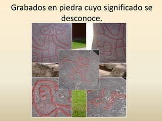 Mayan behavior, Anthropology