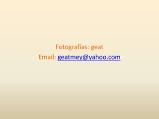 Mayan behavior, Anthropology