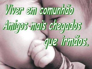 Amizade - Quatro por Um