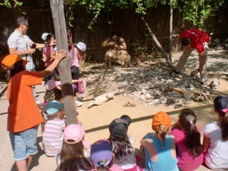 Visita primaria arqueopinto 13-14_Pereda_Leganés