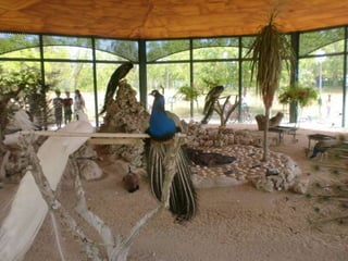 Visita primaria arqueopinto 13-14_Pereda_Leganés