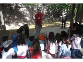 Visita primaria arqueopinto 13-14_Pereda_Leganés