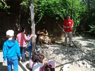Visita primaria arqueopinto 13-14_Pereda_Leganés