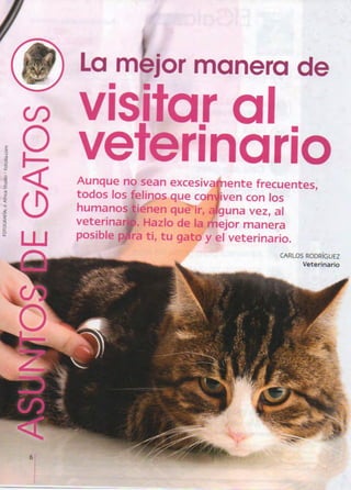 Visitar al veterinario