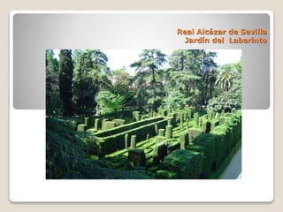 Real Alcázar de Sevilla
Jardín del Laberinto
 
