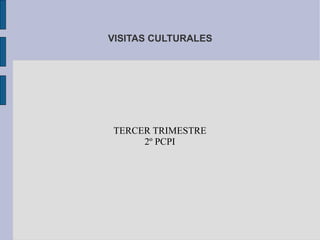 VISITAS CULTURALES




TERCER TRIMESTRE
     2º PCPI
 