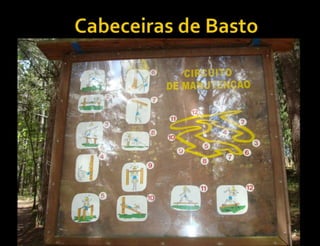 Cabeceiras de Basto