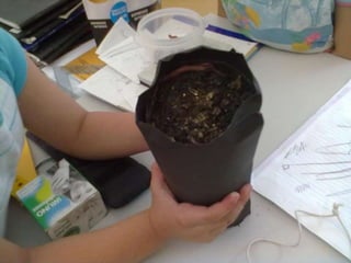 Visitas de estudo experiências e outras