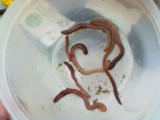 Visitas de estudo experiências e outras