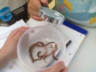 Visitas de estudo experiências e outras