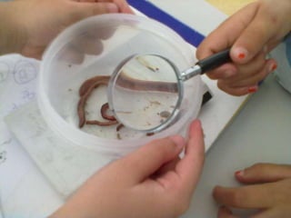 Visitas de estudo experiências e outras