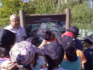 Visitas de estudo experiências e outras