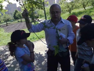 Visitas de estudo experiências e outras