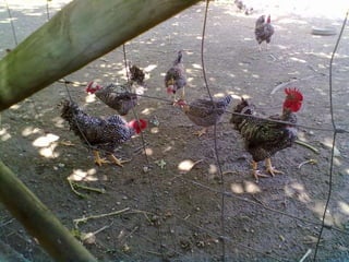 Visitas de estudo experiências e outras