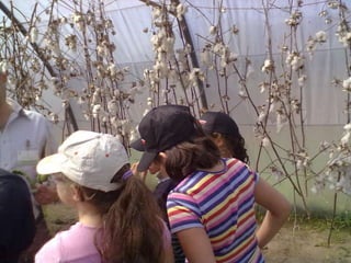 Visitas de estudo experiências e outras