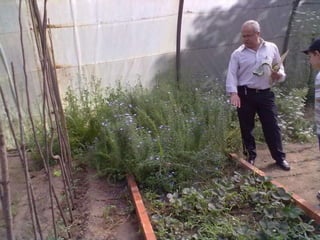 Visitas de estudo experiências e outras