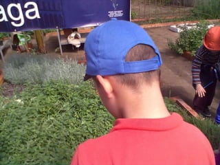 Visitas de estudo experiências e outras