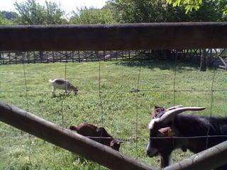 Visitas de estudo experiências e outras