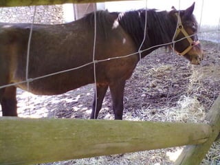 Visitas de estudo experiências e outras