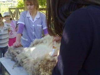 Visitas de estudo experiências e outras