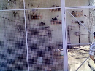 Visitas de estudo experiências e outras