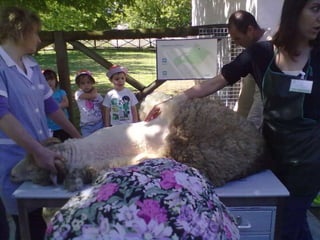 Visitas de estudo experiências e outras