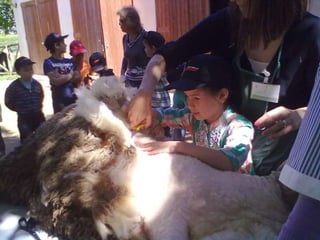 Visitas de estudo experiências e outras