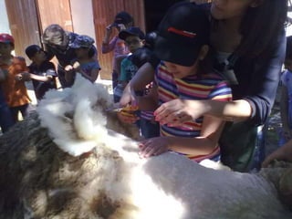 Visitas de estudo experiências e outras