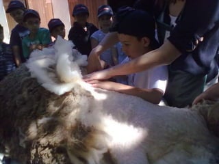 Visitas de estudo experiências e outras