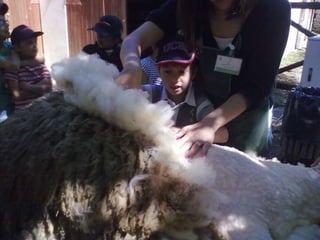 Visitas de estudo experiências e outras