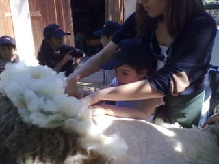 Visitas de estudo experiências e outras