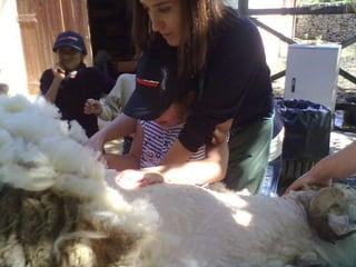 Visitas de estudo experiências e outras