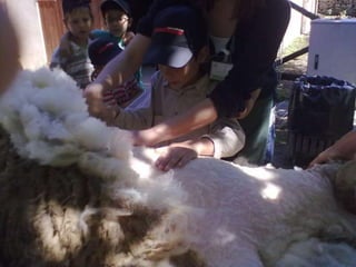 Visitas de estudo experiências e outras