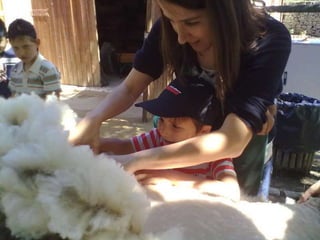 Visitas de estudo experiências e outras