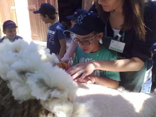 Visitas de estudo experiências e outras