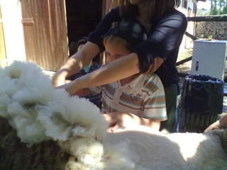 Visitas de estudo experiências e outras