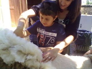 Visitas de estudo experiências e outras