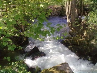 Visitas de estudo experiências e outras