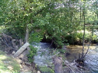 Visitas de estudo experiências e outras